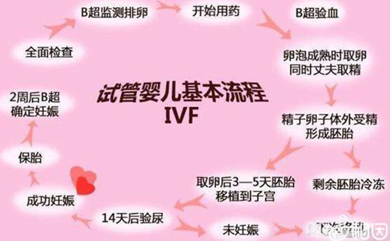 试管婴儿咨询：迎接新生命的曙光