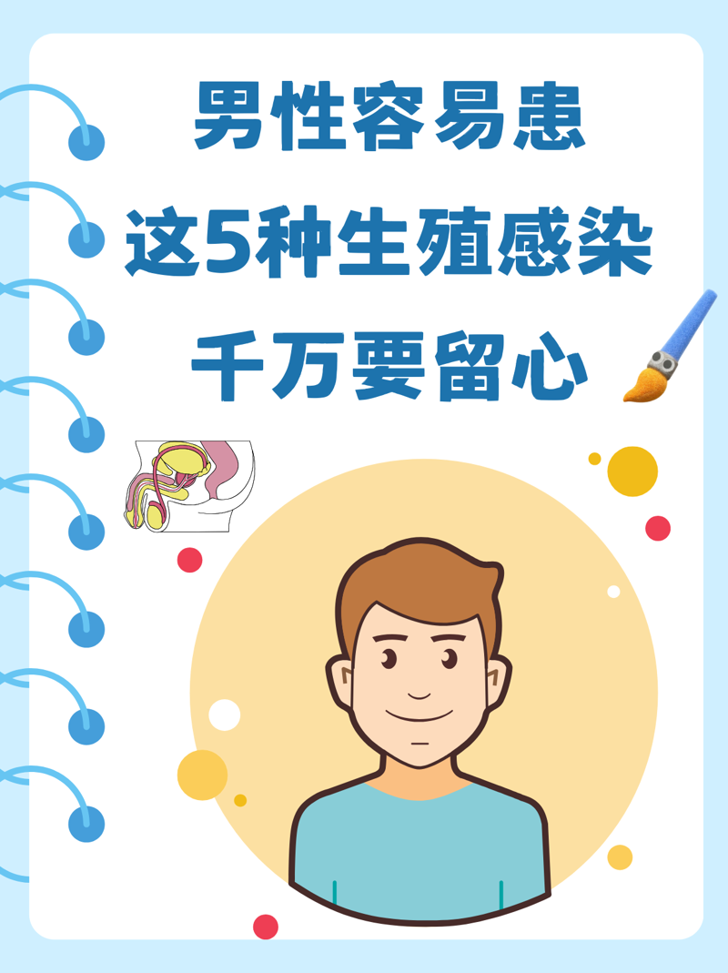 第三代试管婴儿技术：开启生命的希望之门