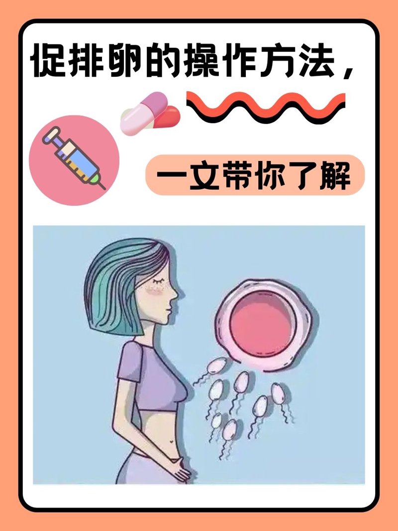 试管婴儿咨询选购指南：选择专业可靠的机构很重要