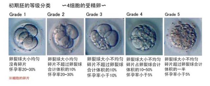辅助生殖技术：为生育难题提供新希望