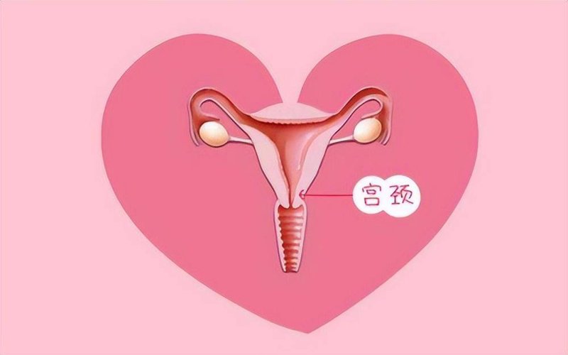 试管婴儿咨询：开启生命的无限可能